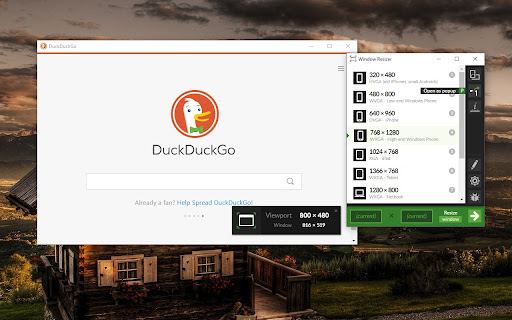 After resizing, the window overlays the actual viewport and window pixel sizes